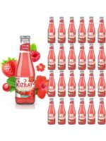 Kızılay Maden Suyu Doğal Kırmızı Meyveler Hibiskus Aromalı 200 ml x 24 Adet