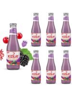 Kızılay Maden Suyu Doğal Karadut Frenk Üzümü Aromalı 200 ml x 6 Adet