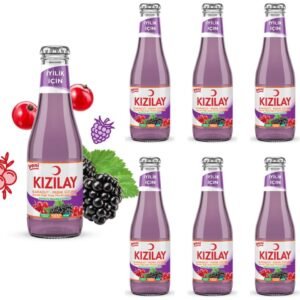 Kızılay Maden Suyu Doğal Karadut Frenk Üzümü Aromalı 200 ml x 6 Adet